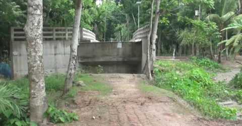 ঠিকাদারের গাফিলতিতে থমকে ৩ সেতুর কাজ, দুর্ভোগে পিরোজপুরের ১০ গ্রামের মানুষ