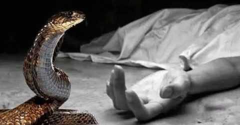 সাপের ছোবলে মাদ্রাসাছাত্রীর মৃত্যু, মহম্মদপুরে শোকের ছায়া