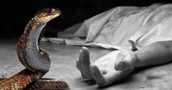 সাপের ছোবলে মাদ্রাসাছাত্রীর মৃত্যু, মহম্মদপুরে শোকের ছায়া