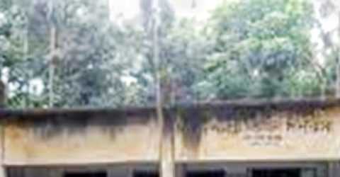 সাত শিক্ষকের ৫ পরীক্ষার্থী, তবুও ৪ জন ফেল