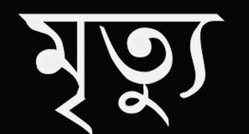 লোহাগড়ায় ট্রাকচালক হোসেনের মৃত্যুতে শোকের ছায়া