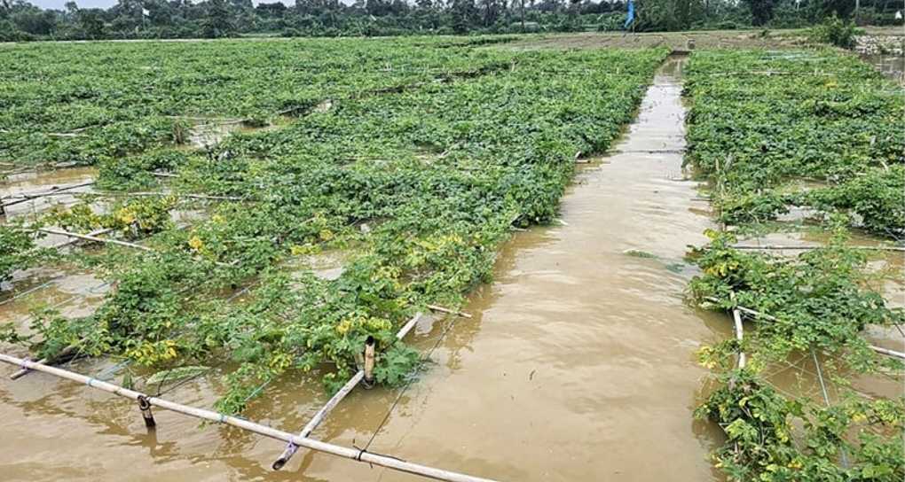 ১১ হাজার হেক্টর সবজিক্ষেত ডুবলো বন্যার পানিতে