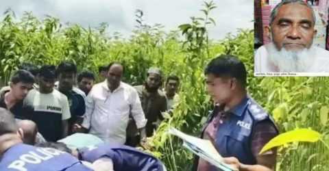 পাটখেত থেকে এলজিইডির অফিস সহকারীর মরদেহ উদ্ধার